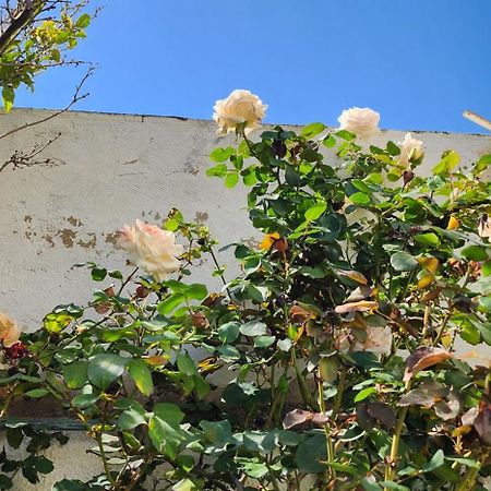 Duplex Bien Equipe Securise Avec Jardin Et Veranda La Marsa Zewnętrze zdjęcie