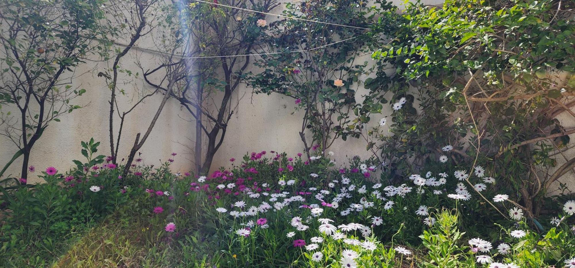 Duplex Bien Equipe Securise Avec Jardin Et Veranda La Marsa Zewnętrze zdjęcie