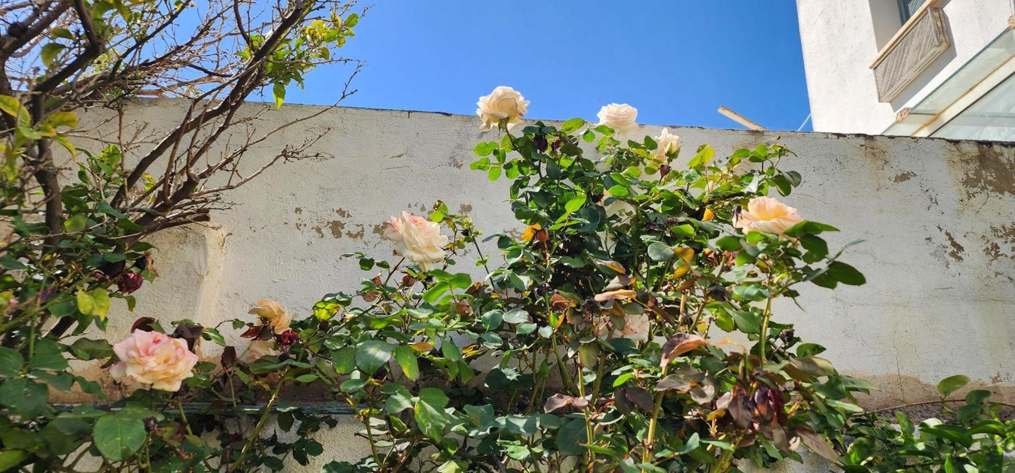 Duplex Bien Equipe Securise Avec Jardin Et Veranda La Marsa Zewnętrze zdjęcie