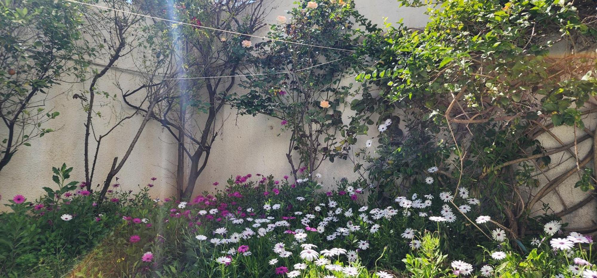 Duplex Bien Equipe Securise Avec Jardin Et Veranda La Marsa Zewnętrze zdjęcie