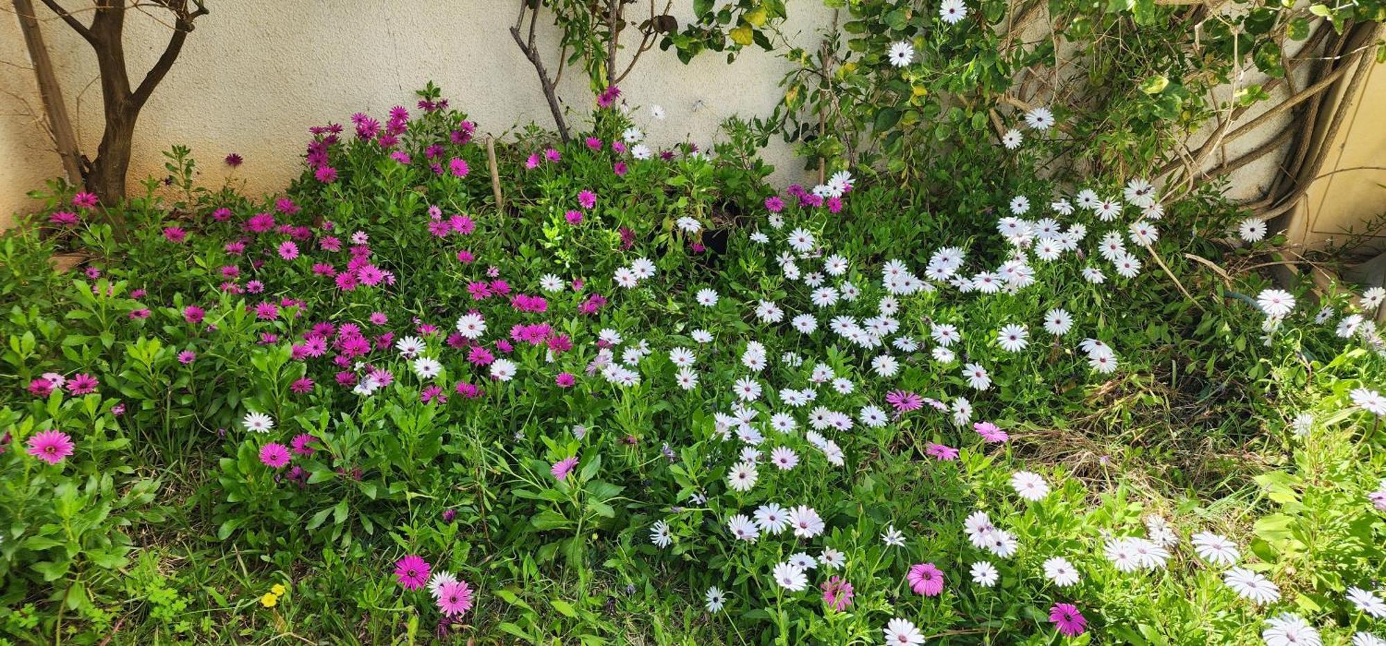 Duplex Bien Equipe Securise Avec Jardin Et Veranda La Marsa Zewnętrze zdjęcie