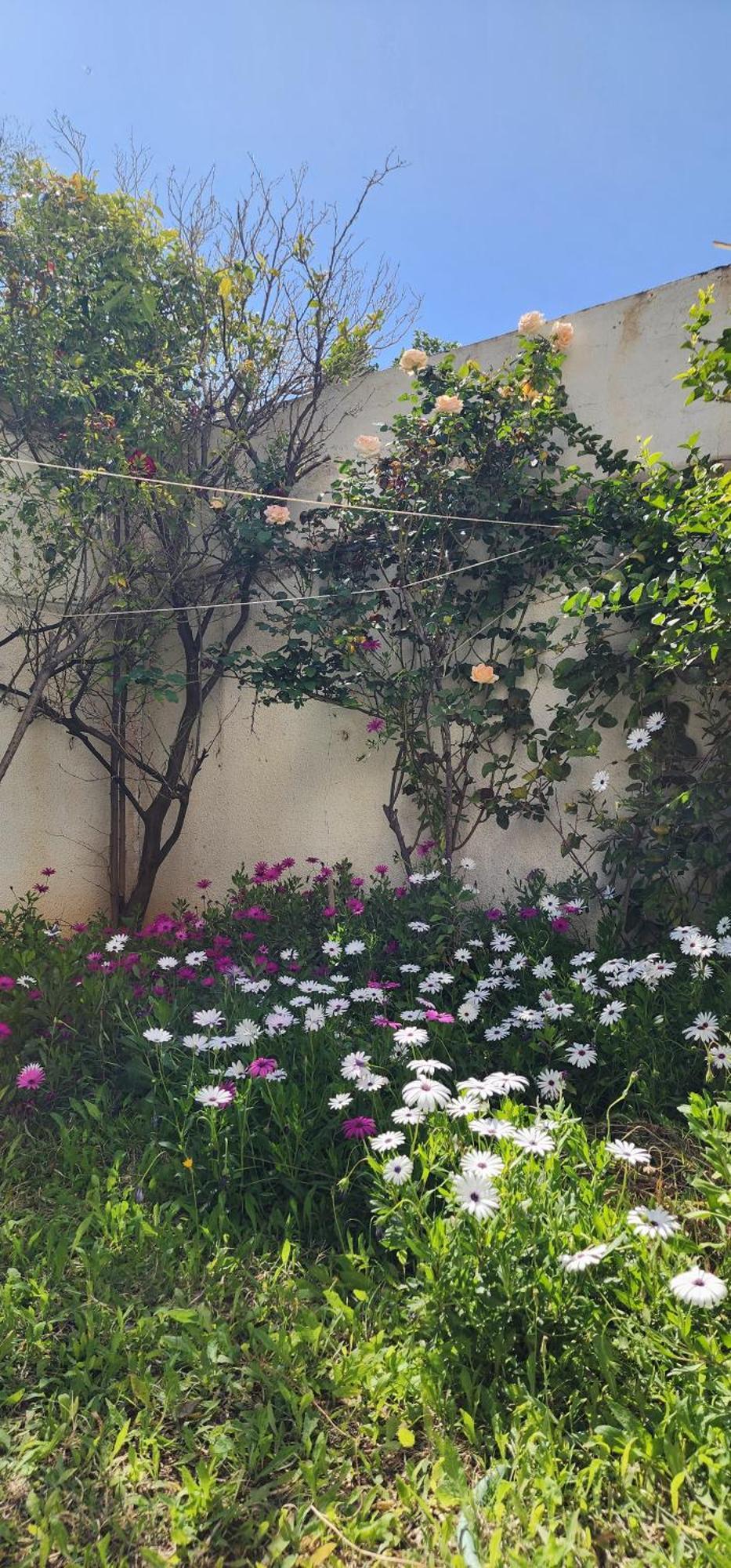 Duplex Bien Equipe Securise Avec Jardin Et Veranda La Marsa Zewnętrze zdjęcie